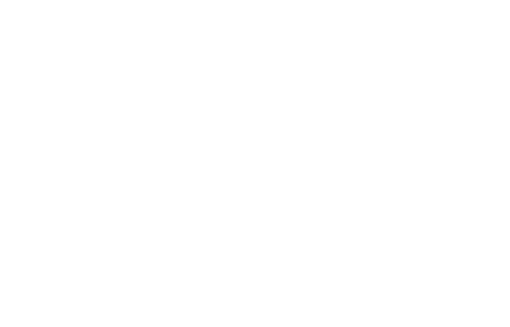 Zubr Capital